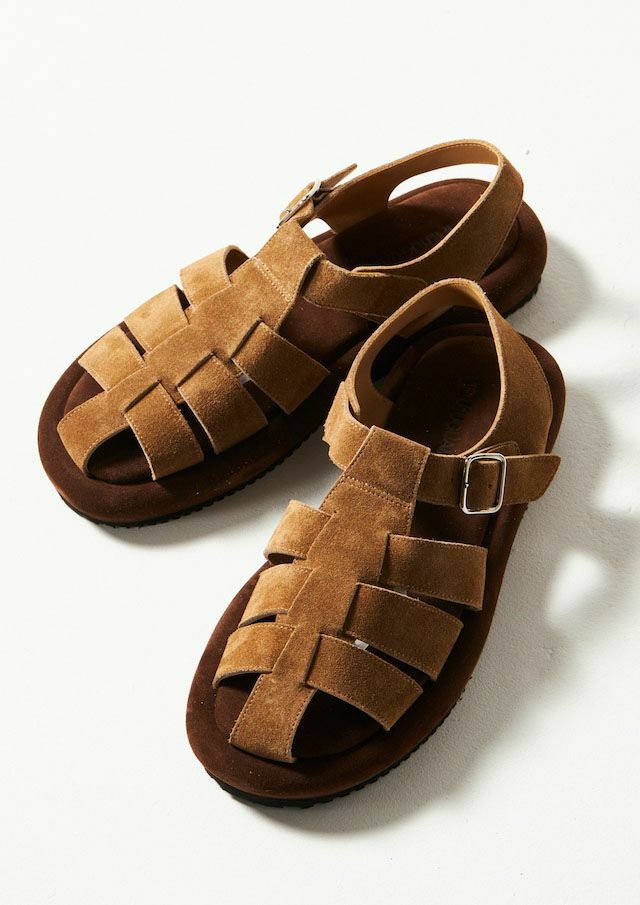 CAMEL/BROWN